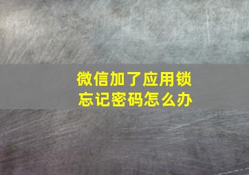 微信加了应用锁 忘记密码怎么办